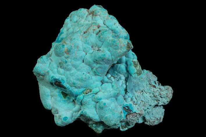 Turquoise Blue, Botryoidal Chrysocolla - Congo #69795